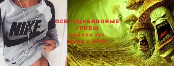 экстази Дмитриев