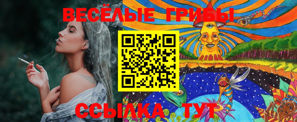 Москва  Псилоцибиновые грибы Cubensis  Вход с VPN  Галлюциногенные грибы мицелий 