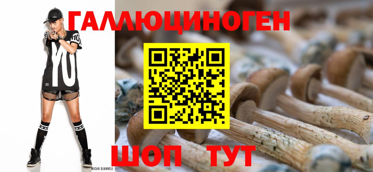 Галлюциногенные грибы MAGIC MUSHROOMS Москва